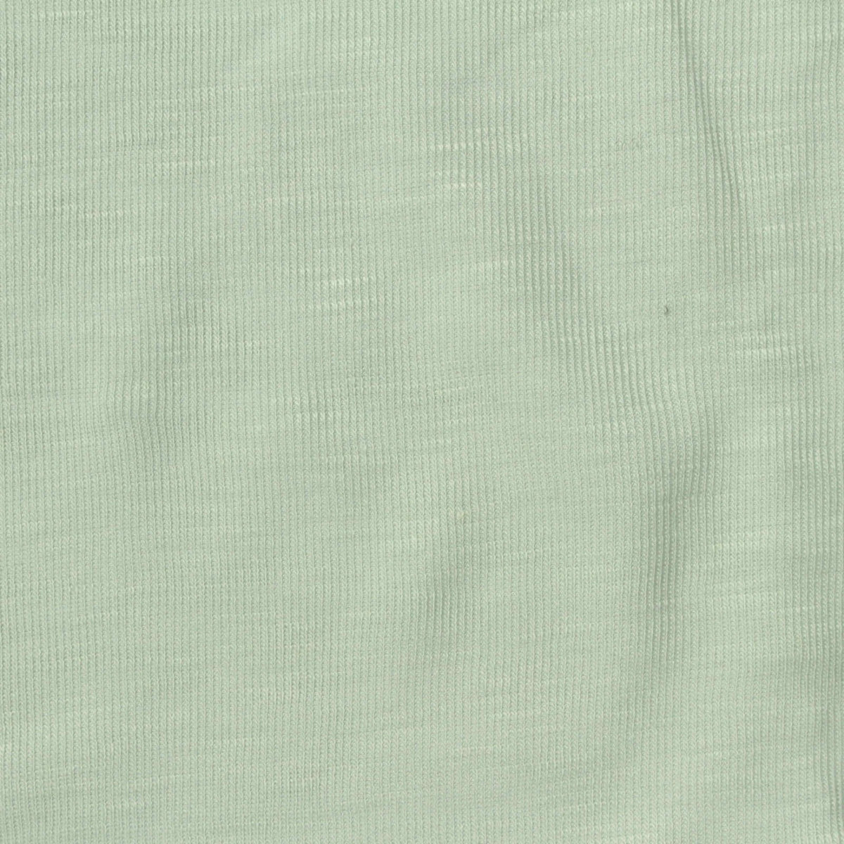 Tencel Lyocell Polyester Rib Knit Fabric, 150 gsm, 167 cm — Green, ref EF-270753