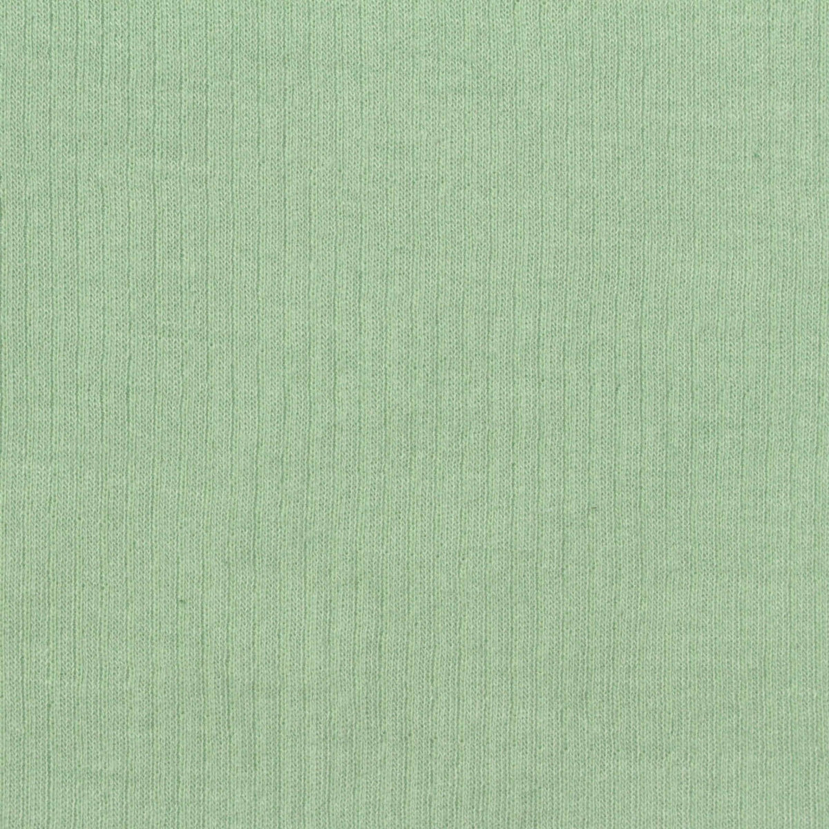 Cotton Tencel Lyocell Rib Knit Fabric, 255 gsm, 140 cm — Green