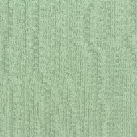 Cotton Tencel Lyocell Rib Knit Fabric, 255 gsm, 140 cm — Green