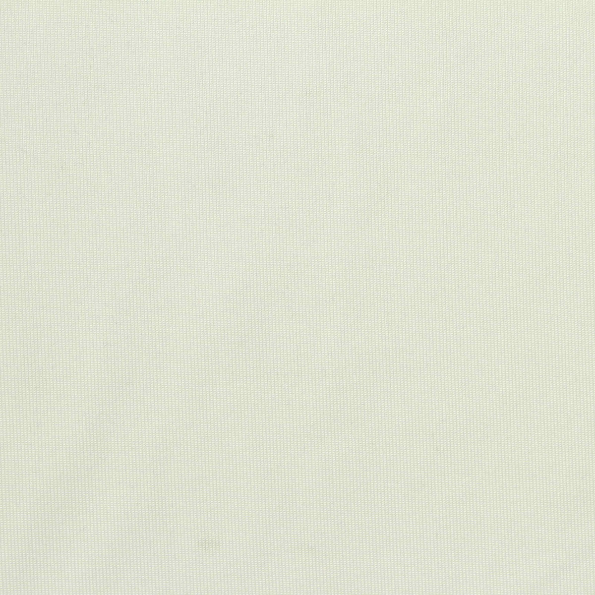 Viscose Polyester Jersey Knit Fabric, 210 gsm, 170 cm — White