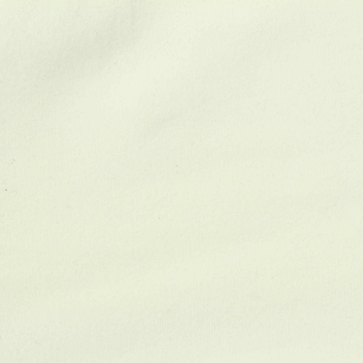 Nylon Stretch Jersey Knit Fabric, 340 gsm, 160 cm — Beige