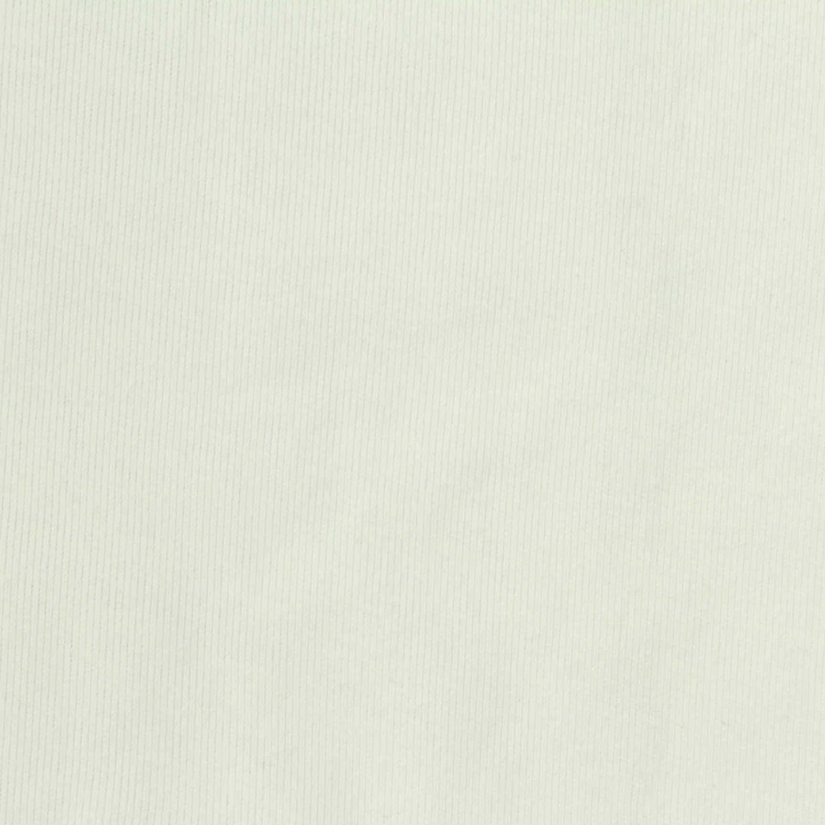 Cotton Stretch Rib Knit Fabric, 235 gsm, 170 cm — White