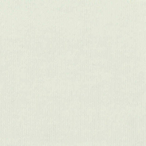 Cotton Stretch Rib Knit Fabric, 215 gsm, 165 cm — White