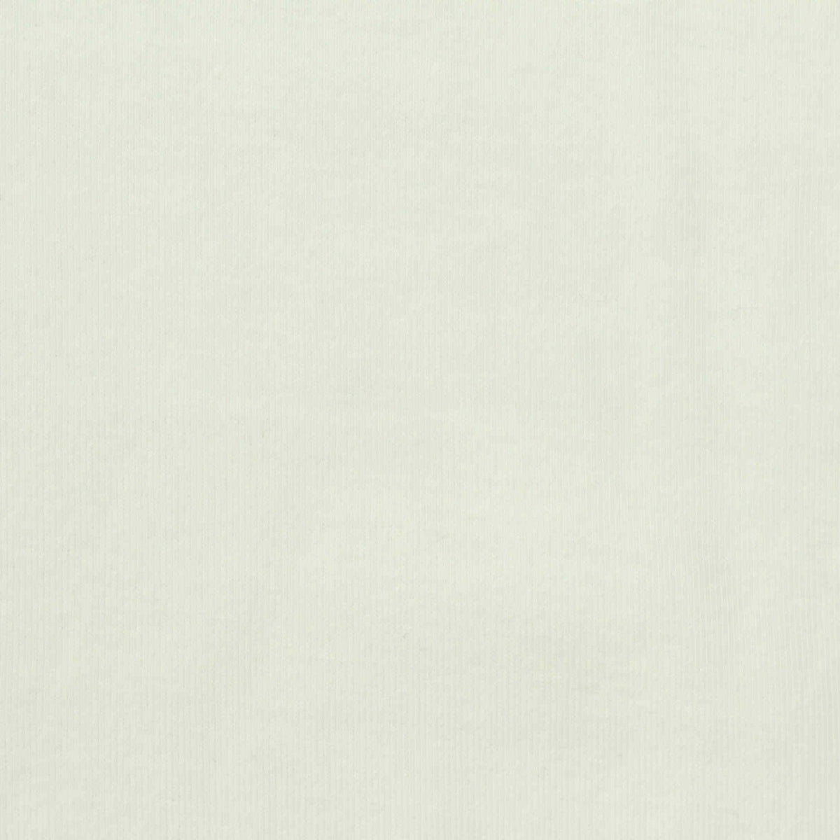 Cotton Stretch Rib Knit Fabric, 215 gsm, 165 cm — White