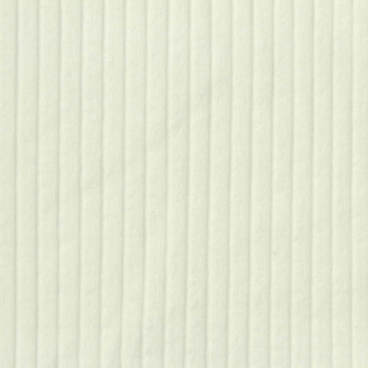 Cotton Stretch Rib Knit Fabric, 265 gsm, 125 cm — Beige