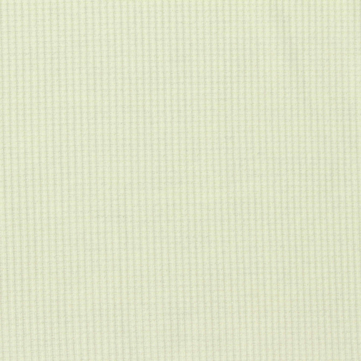 Light Cream Check Rib Knit, Modal