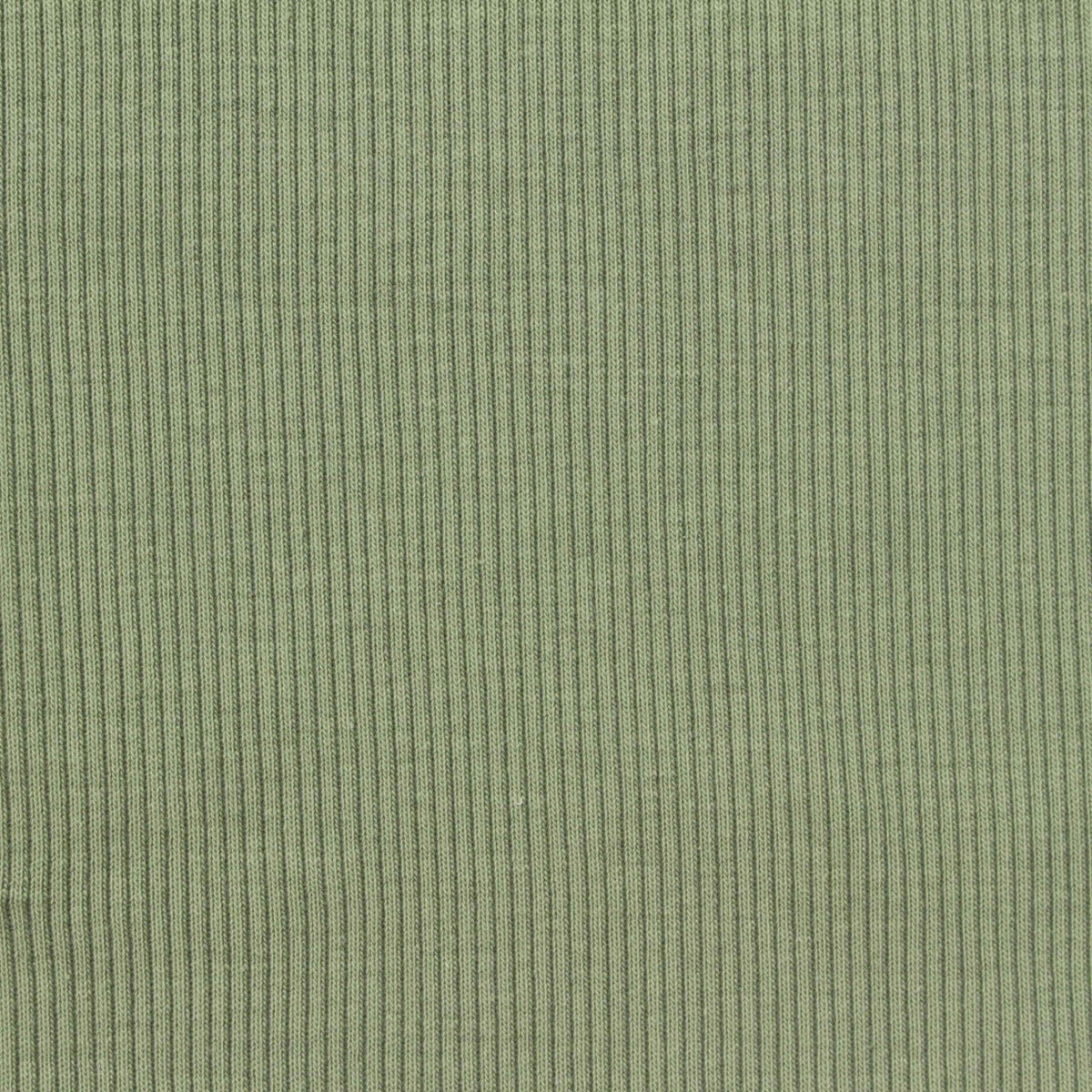 Cotton Stretch Rib Knit Fabric, 190 gsm, 110 cm — Green