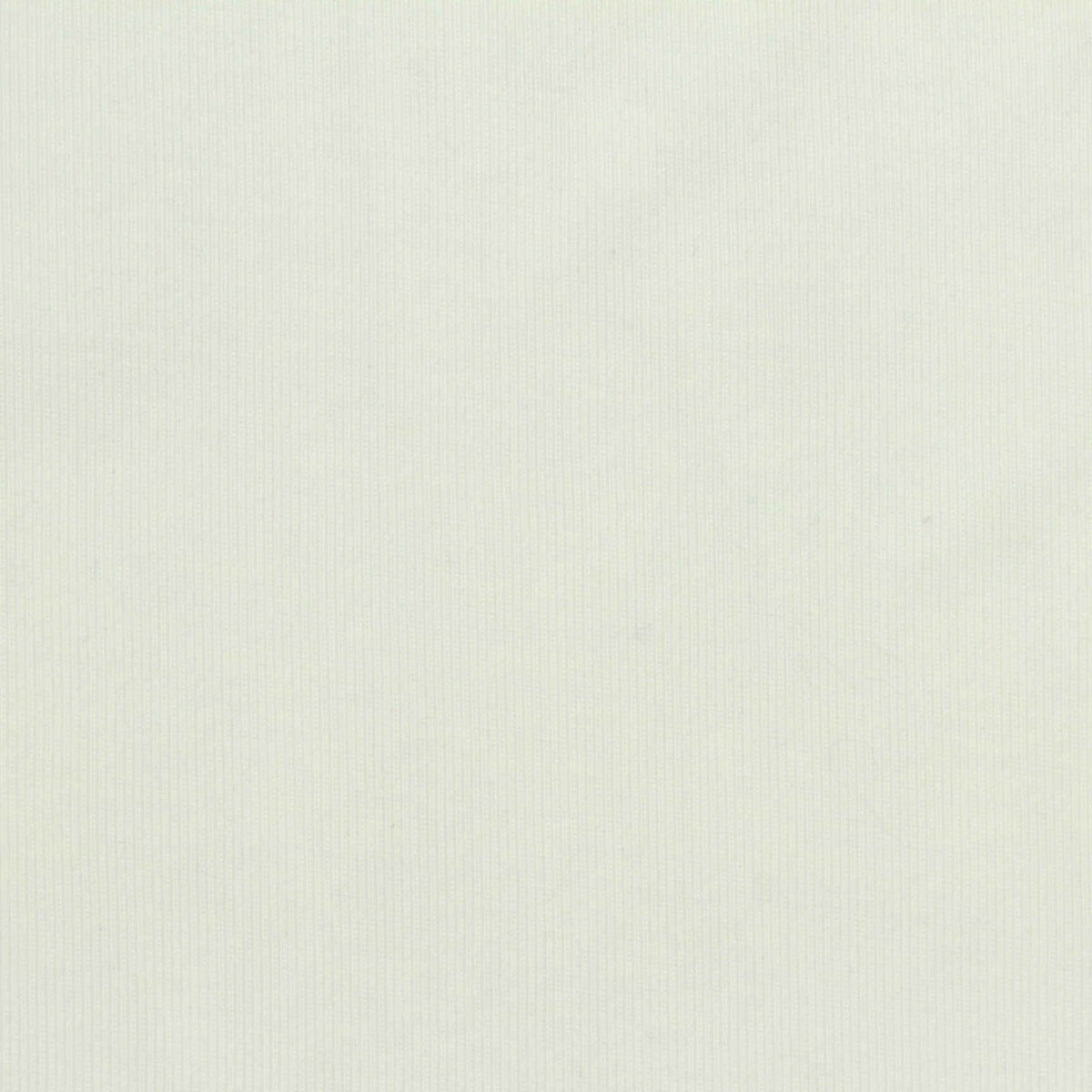 Rib Knit Fabric, 282 gsm, 164 cm — White