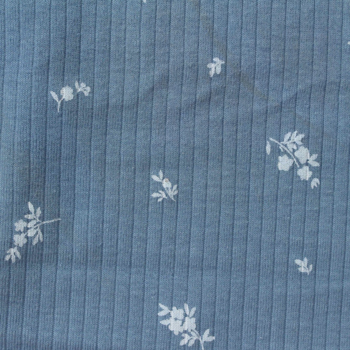 White Floral Rib Knit, Cotton, 230 gsm