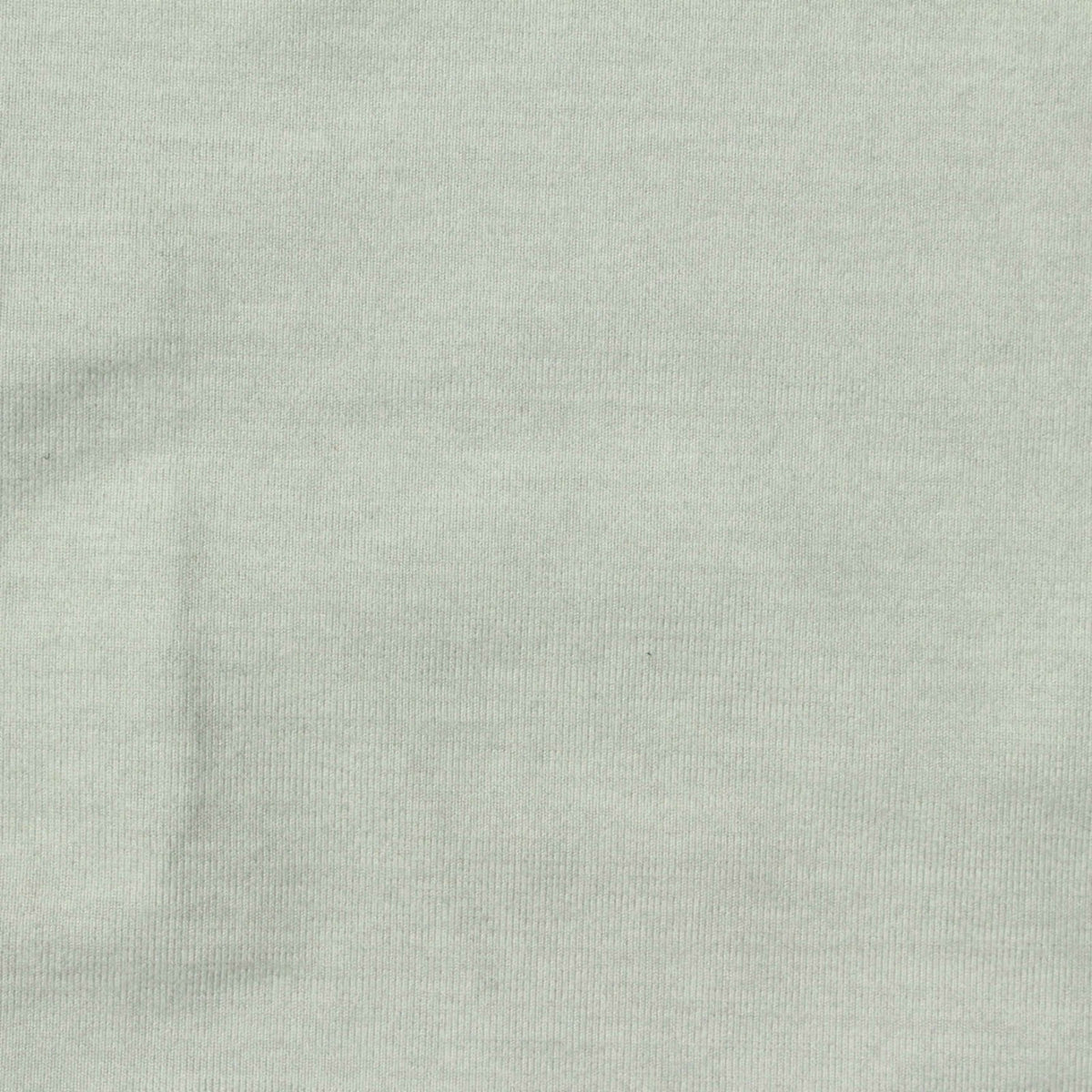Brushed Polyester Stretch Jersey Knit Fabric, 204 gsm, 156 cm — Green