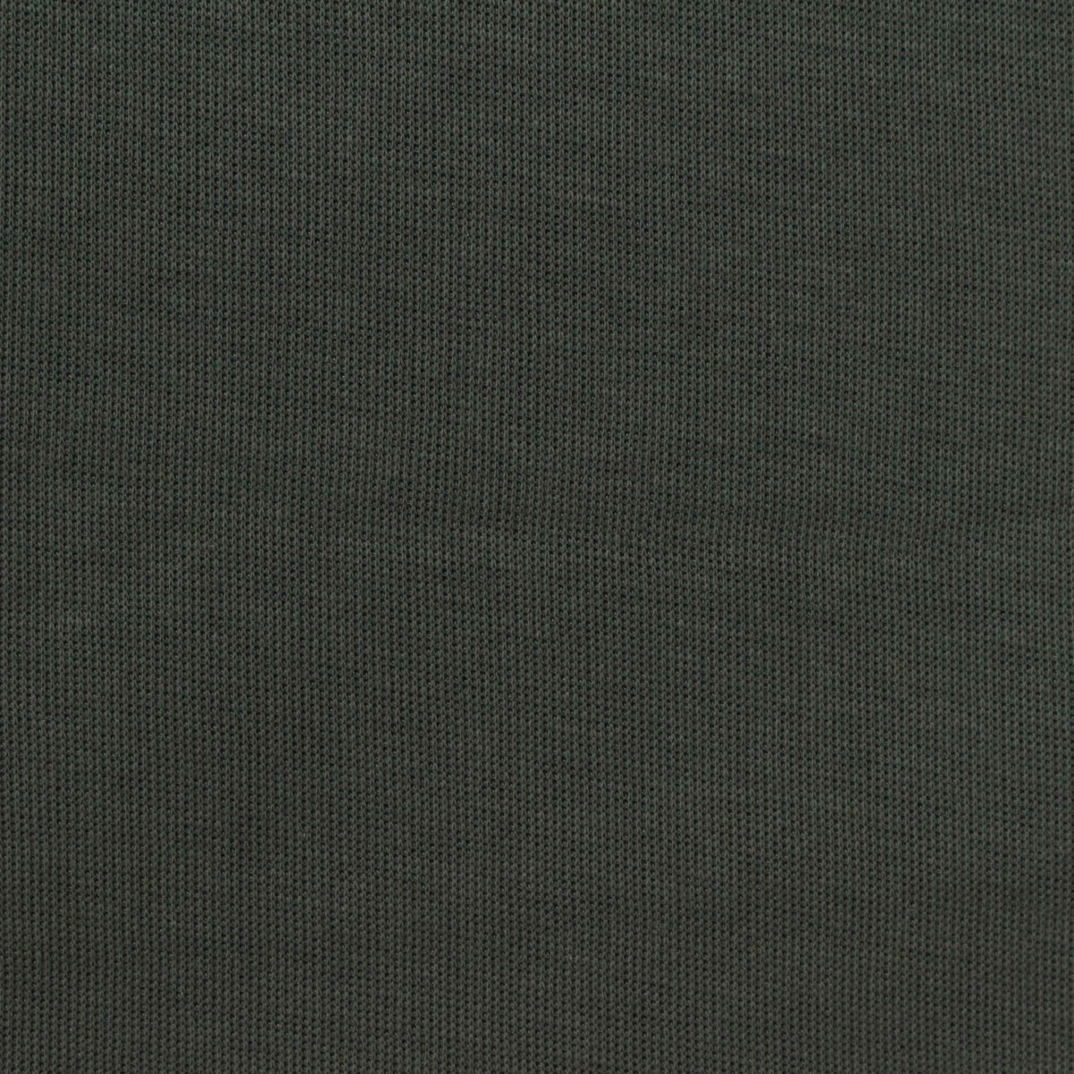 Polyester Cotton Scuba Knit Fabric, 300 gsm, 175 cm — Green, ref EF-271357