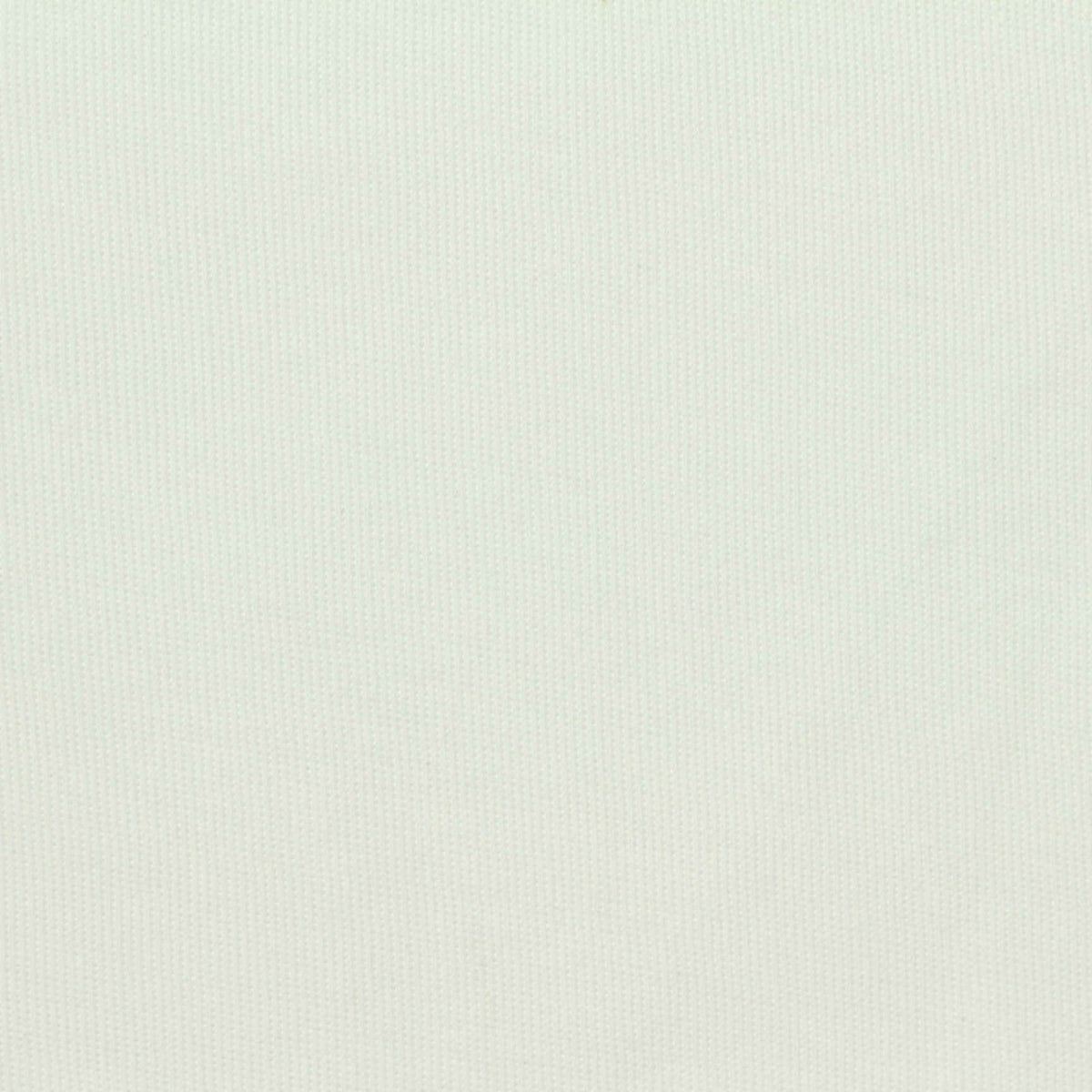 Polyester Cotton Scuba Knit Fabric, 300 gsm, 175 cm — White, ref EF-271363