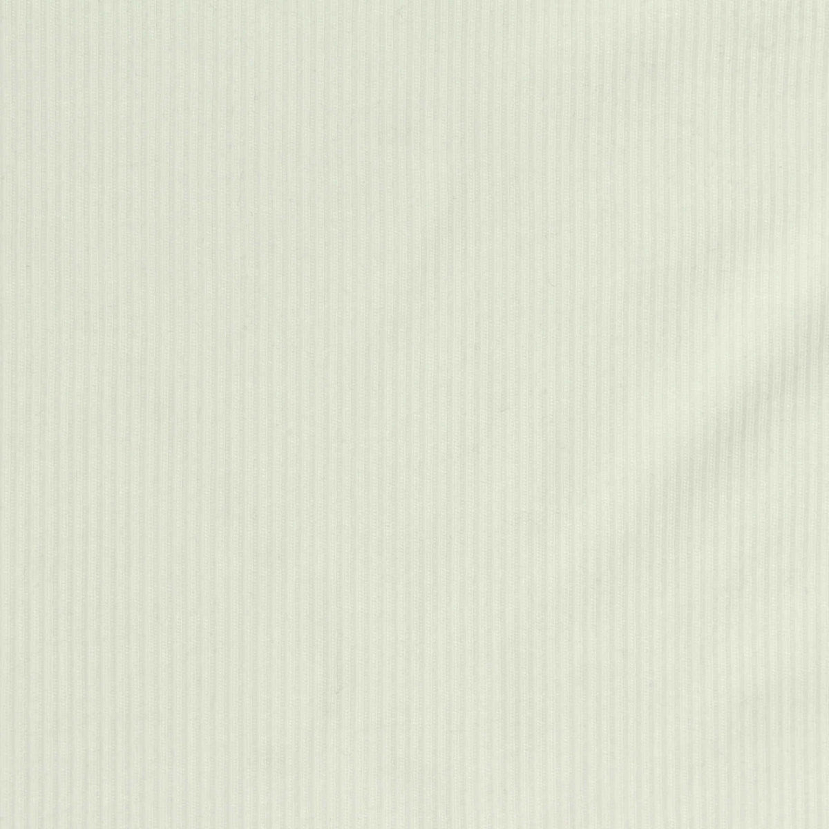 Tencel Lyocell Stretch Rib Knit Fabric, 220 gsm, 158 cm — Beige