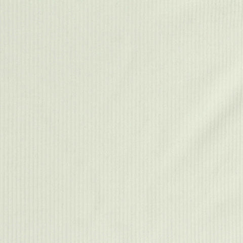 Tencel Lyocell Stretch Rib Knit Fabric, 220 gsm, 158 cm — Beige