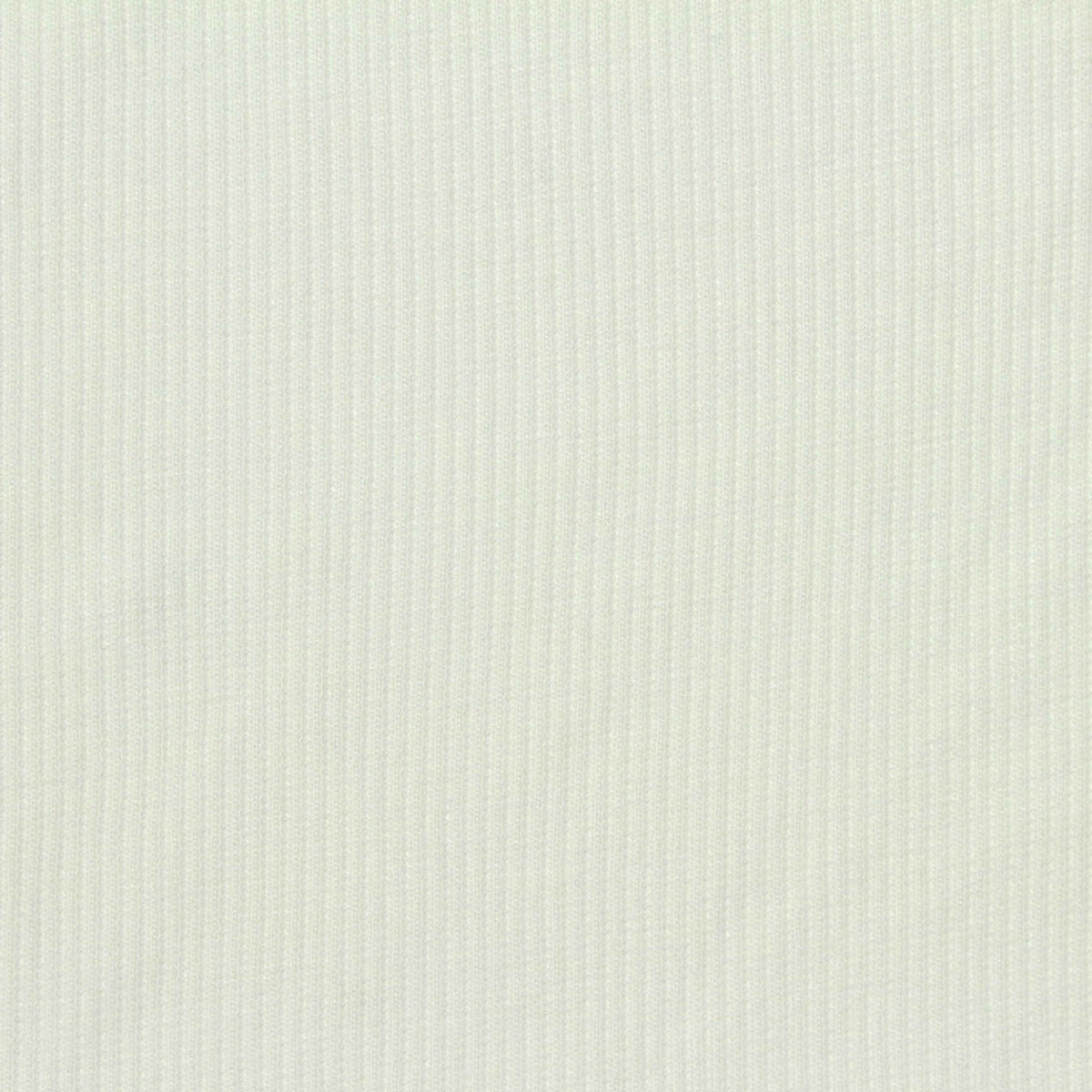 Viscose Stretch Rib Knit Fabric, 220 gsm, 125 cm — White