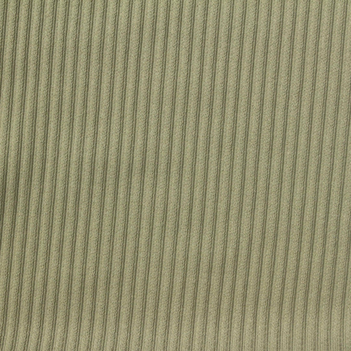 Jacquard Polyester Stretch Rib Knit Fabric, 250 gsm, 175 cm — Khaki