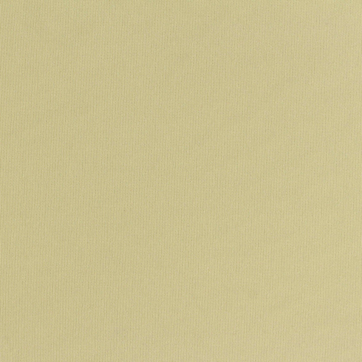 Polyester Nylon Stretch ITY Knit Fabric, 220 gsm, 150 cm — Khaki