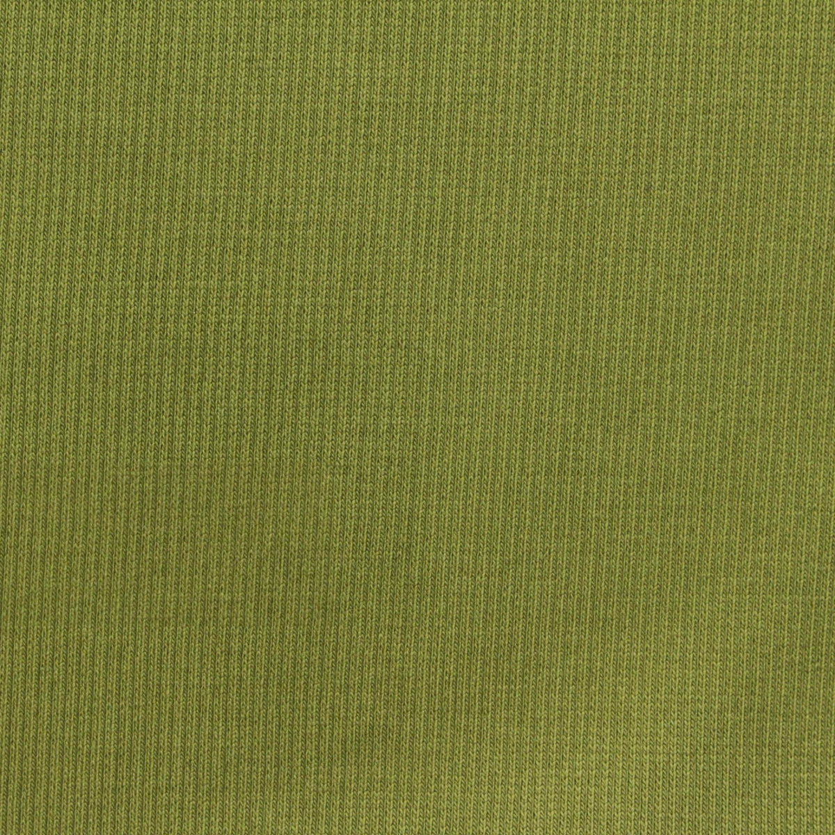 Cotton Stretch Rib Knit Fabric, 420 gsm, 115 cm — Green