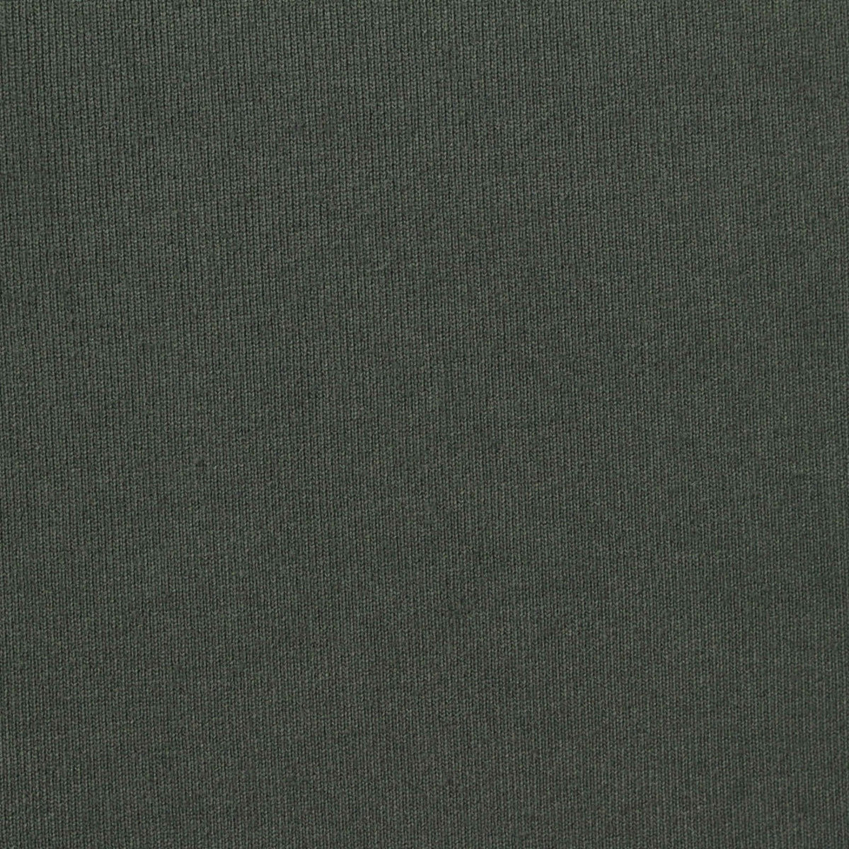100% Polyester Fleece Fabric, 160 gsm, 165 cm — Green
