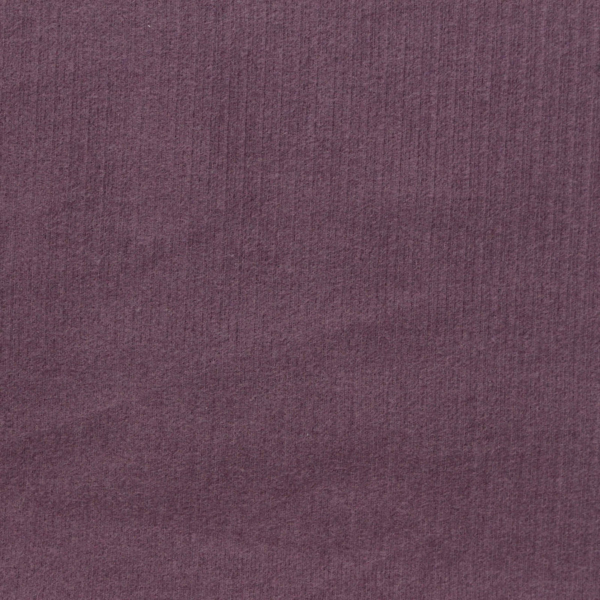 Brushed Cotton Viscose Stretch Rib Knit Fabric, 260 gsm, 154 cm — Purple