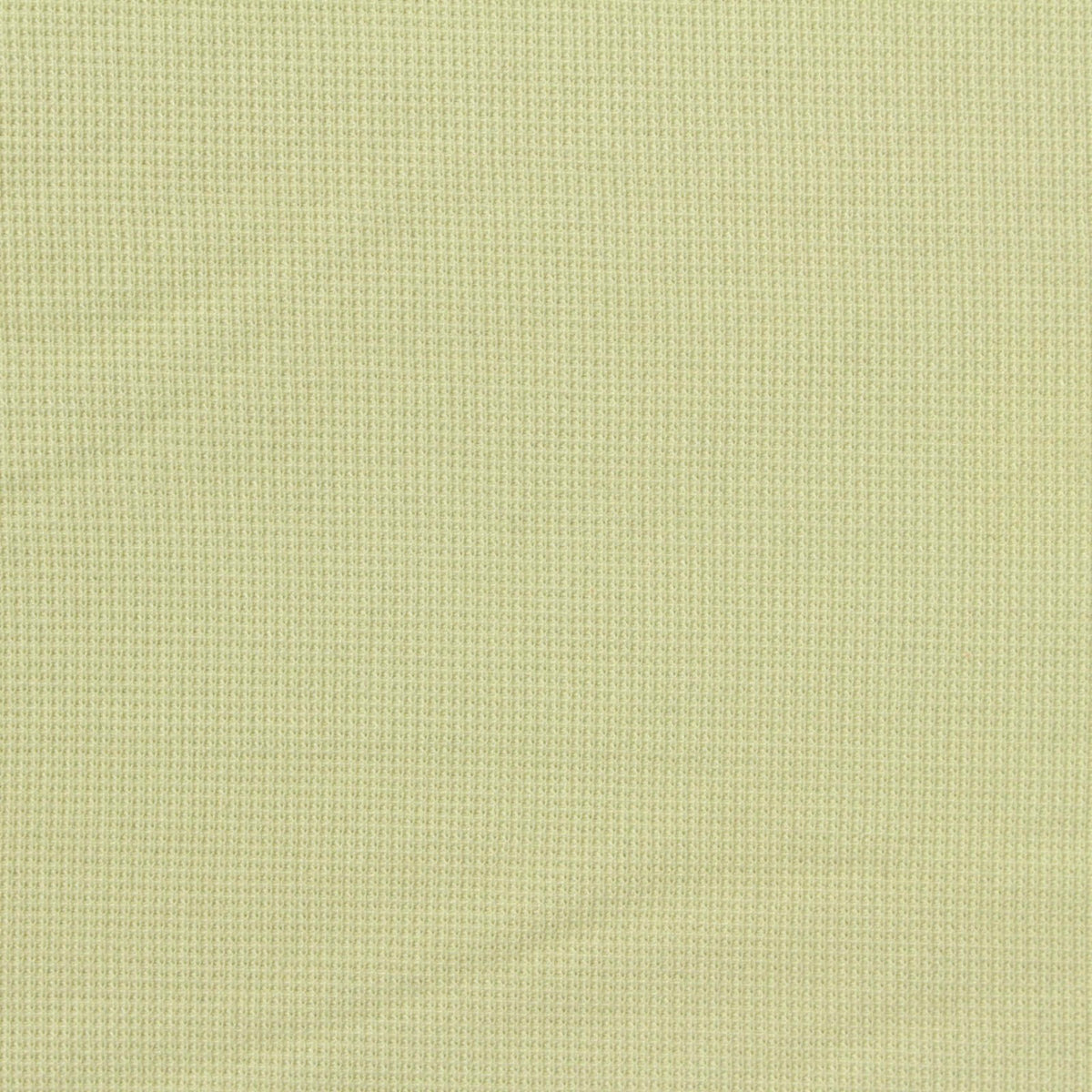 Polyester Viscose Blend Stretch Waffle Knit Fabric, 259 gsm, 160 cm — Khaki
