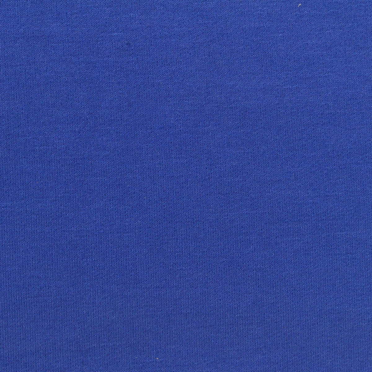 Brushed Viscose Polyester Stretch French Terry Fabric, 285 gsm, 160 cm — Blue