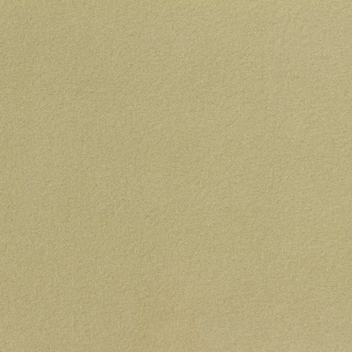 Brushed Polyester Stretch Rib Knit Fabric, 537 gsm, 170 cm — Khaki