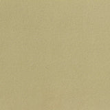 Brushed Polyester Stretch Rib Knit Fabric, 537 gsm, 170 cm — Khaki