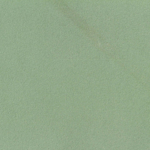 Brushed Polyester Stretch Rib Knit Fabric, 476 gsm, 176 cm — Green