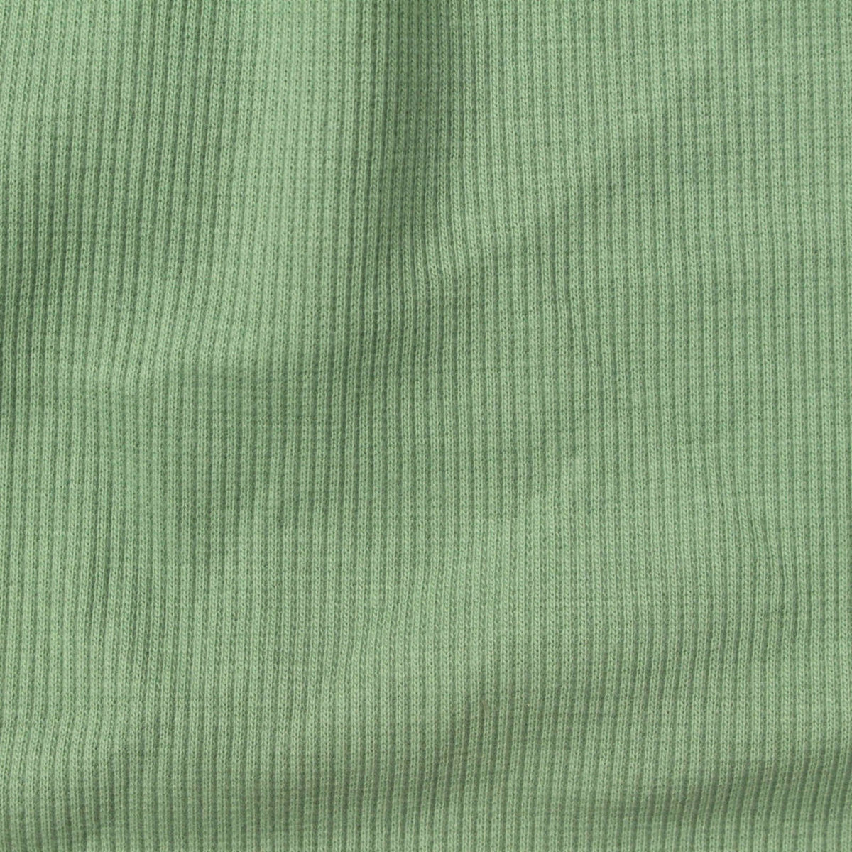 Cotton Stretch Rib Knit Fabric, 280 gsm, 116 cm — Green