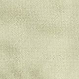 Brushed Cotton Polyester French Terry Fabric, 260 gsm, 167 cm — Khaki — texture