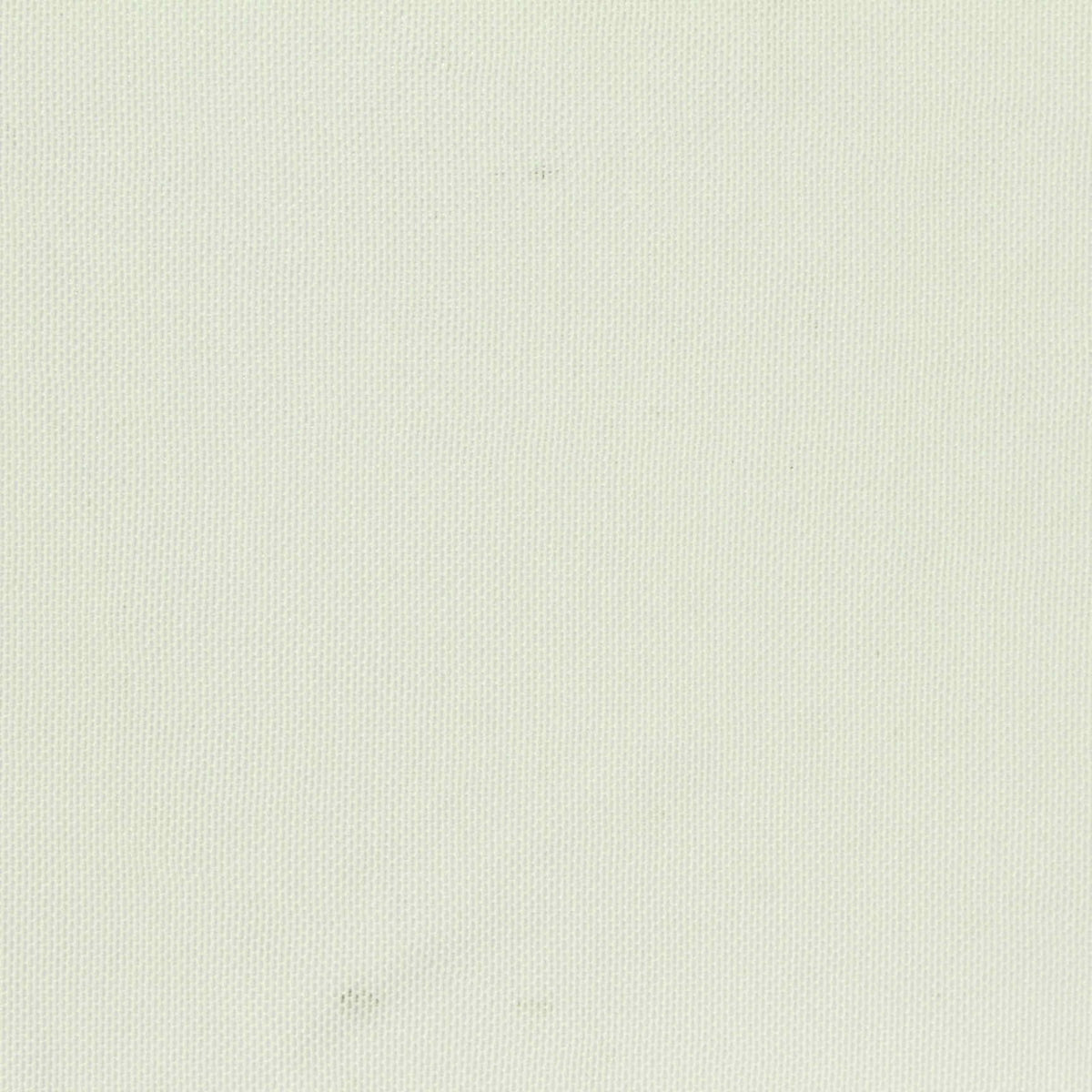 Polyester Stretch Mesh Fabric, 153 gsm, 170 cm — White