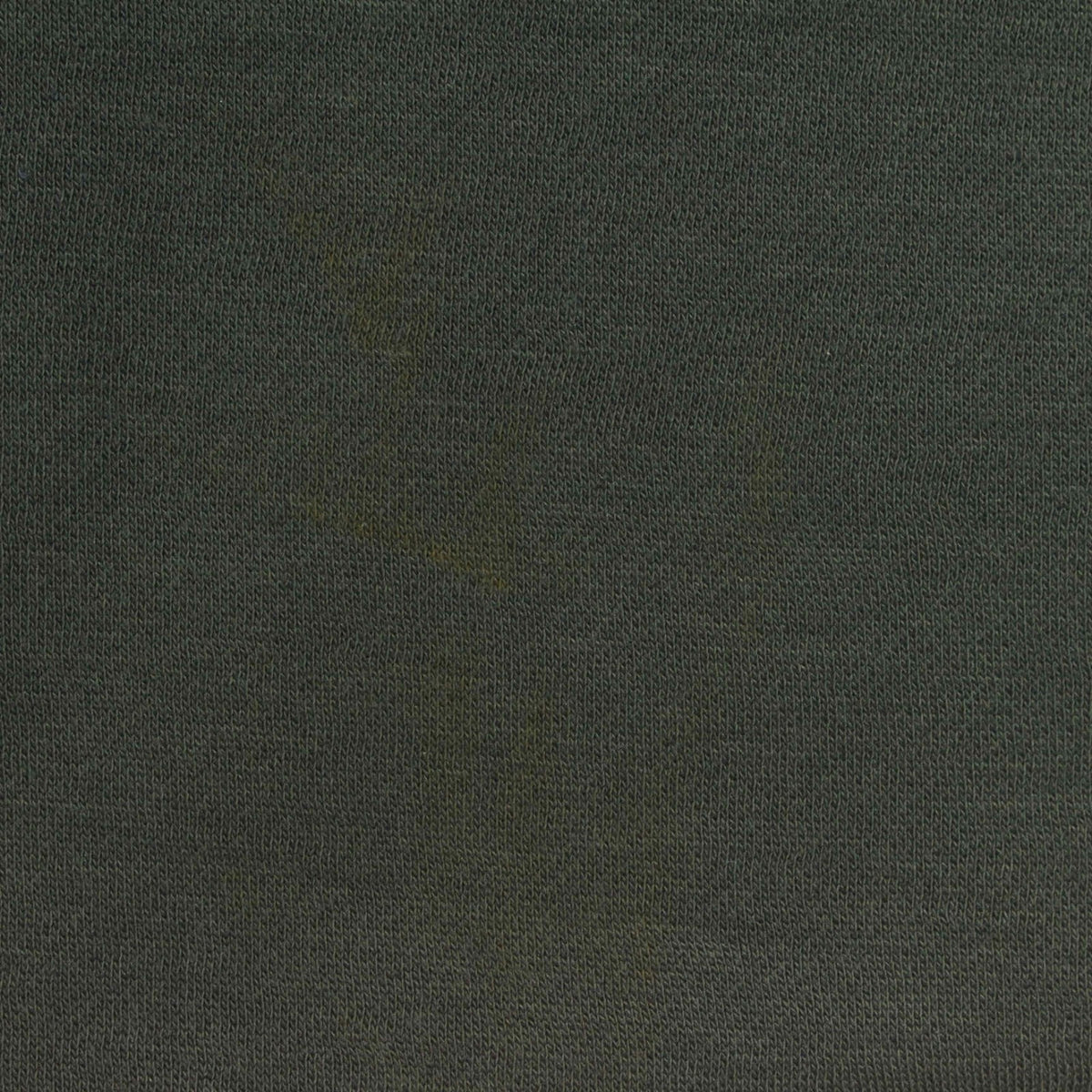 Brushed 100% Polyester French Terry Fabric, 284 gsm, 160 cm — Green