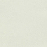 100% Polyester Woven Fabric, 175 gsm, 151 cm — White — texture