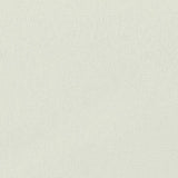 100% Polyester Woven Fabric, 73 gsm, 151 cm — White — texture