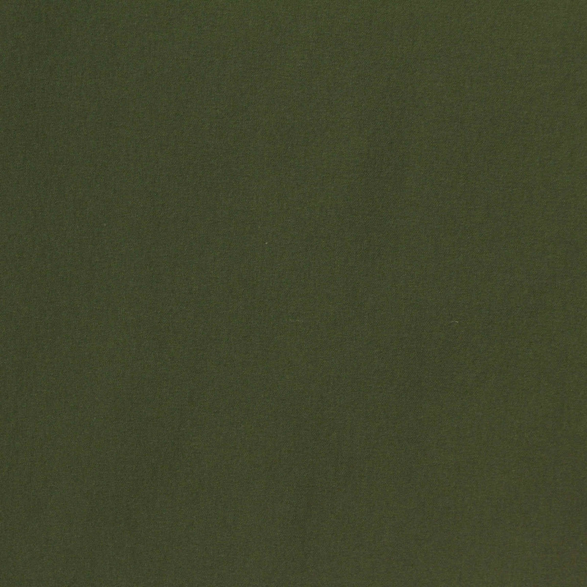 Nylon Stretch Woven Fabric, 150 gsm, 145 cm — Green, ref EF-271996