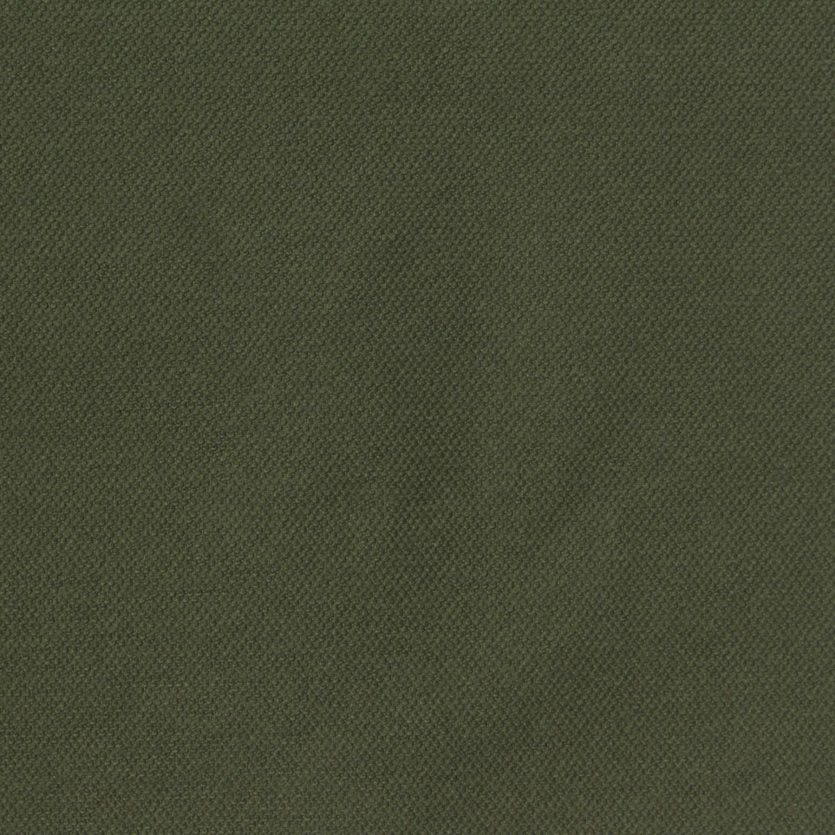 Nylon Stretch Woven Fabric, 165 gsm, 146 cm — Green, ref EF-272095