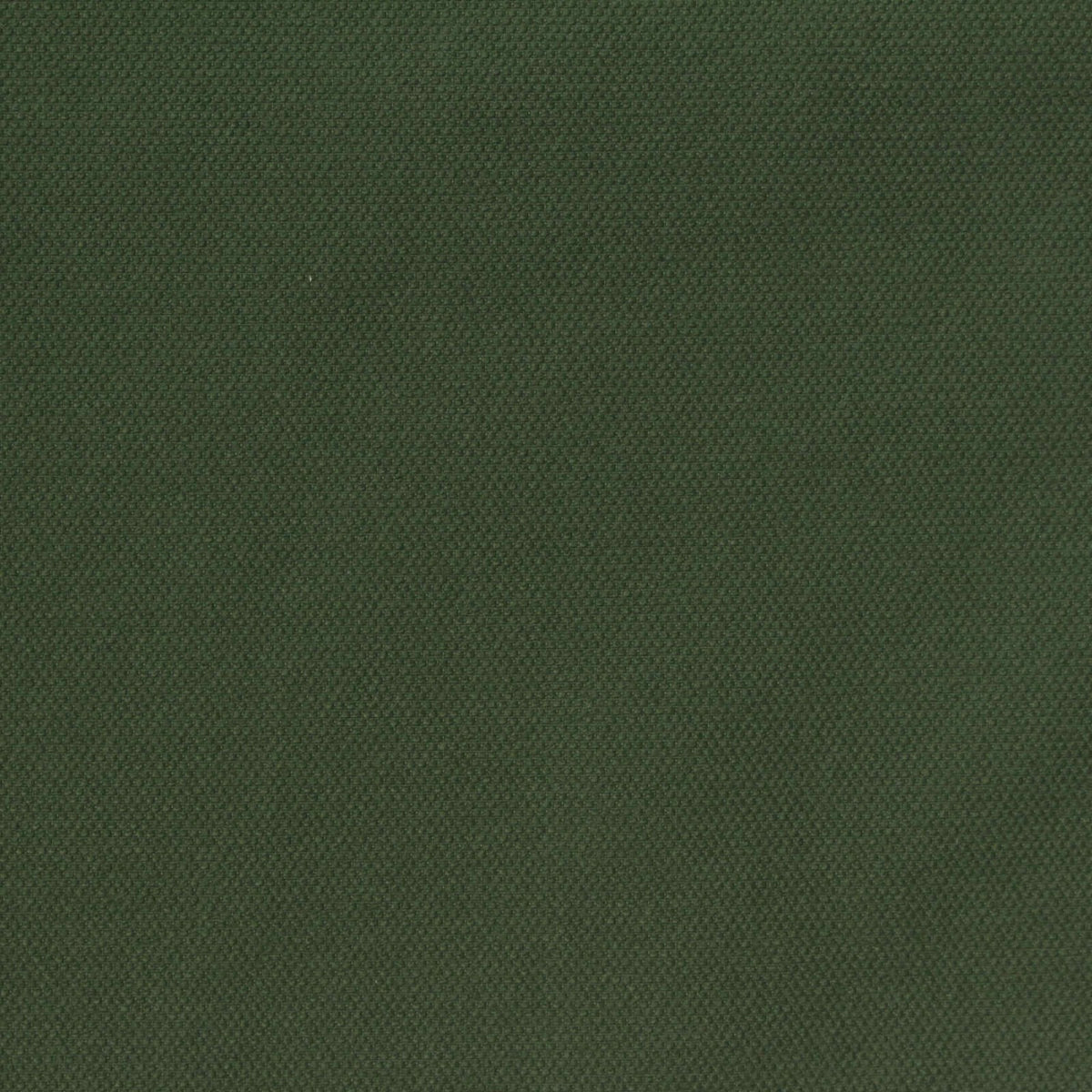Nylon Stretch Woven Fabric, 165 gsm, 146 cm — Green, ref EF-272098