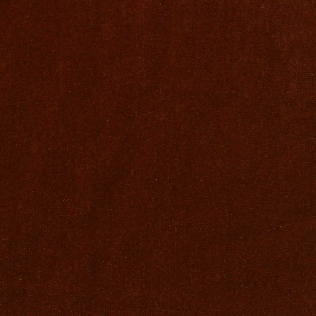 Dark Chocolate Plush Velvet, Polyester