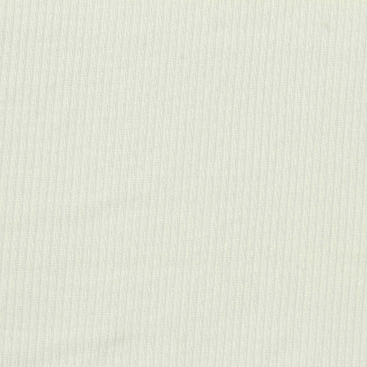 Tencel Lyocell Stretch Rib Knit Fabric, 175 gsm, 157 cm — White
