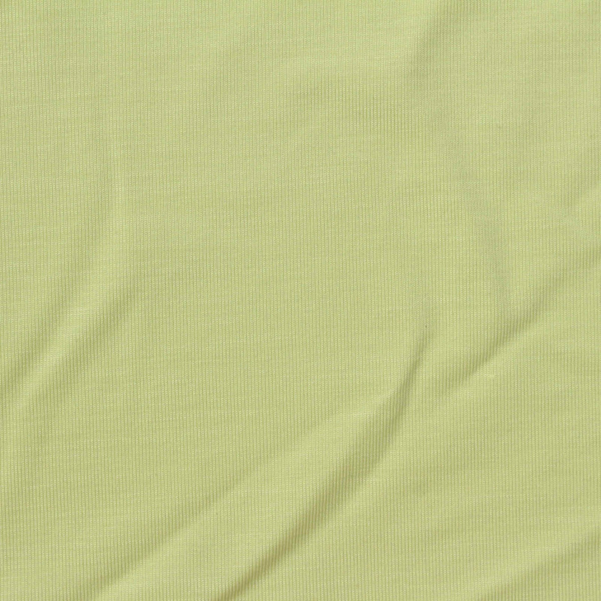 Tencel Lyocell Stretch Jersey Knit Fabric, 200 gsm, 170 cm — Green
