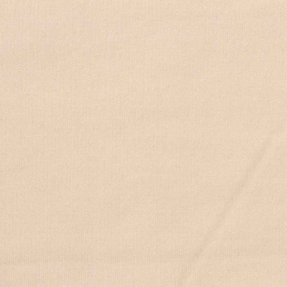 Brushed Acrylic Viscose Stretch French Terry Fabric, 300 gsm, 170 cm — Beige