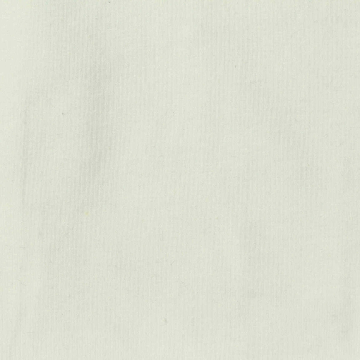 Cotton Polyester Stretch Jersey Knit Fabric, 220 gsm, 180 cm — Beige