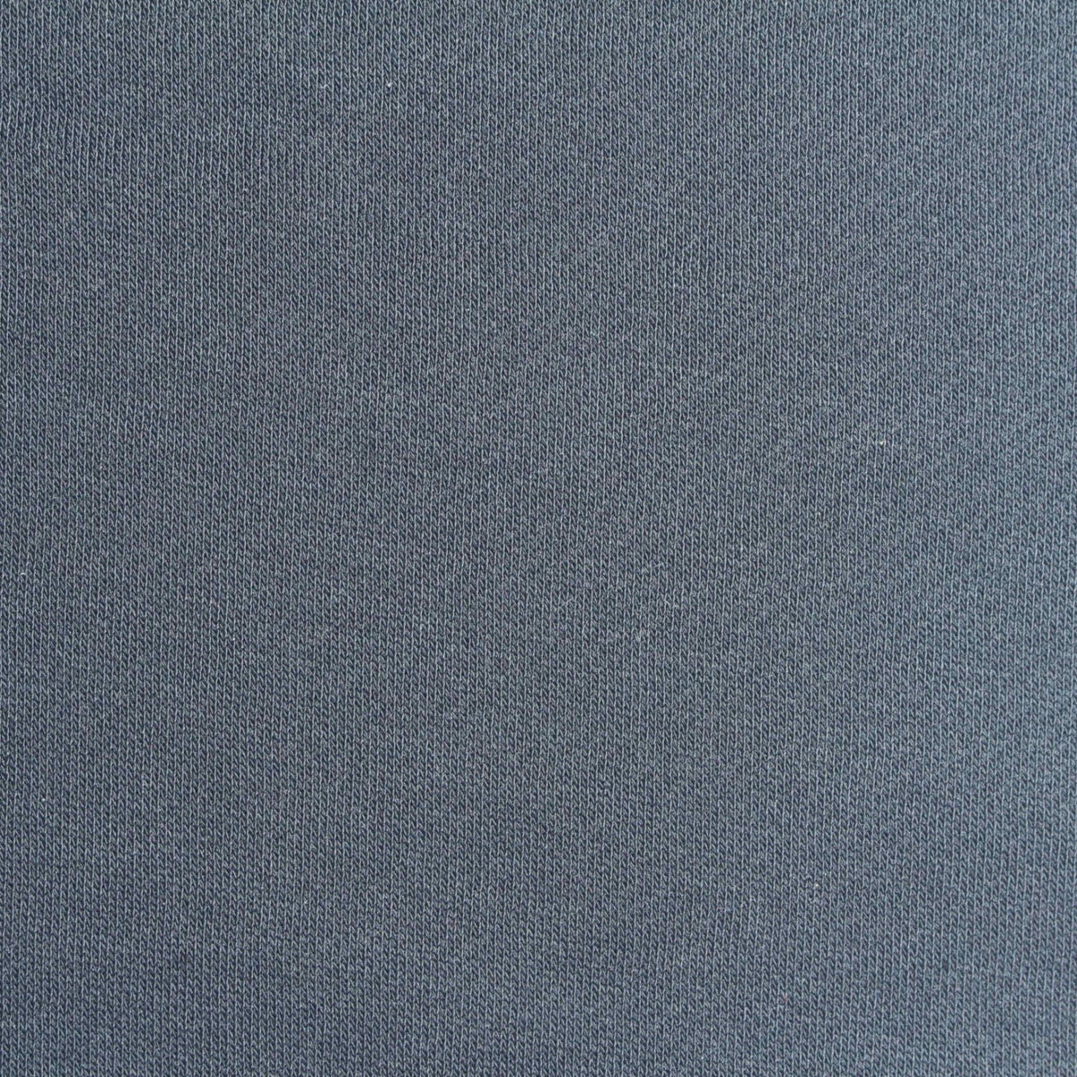 Brushed 100% Polyester French Terry Fabric, 315 gsm, 160 cm — Blue