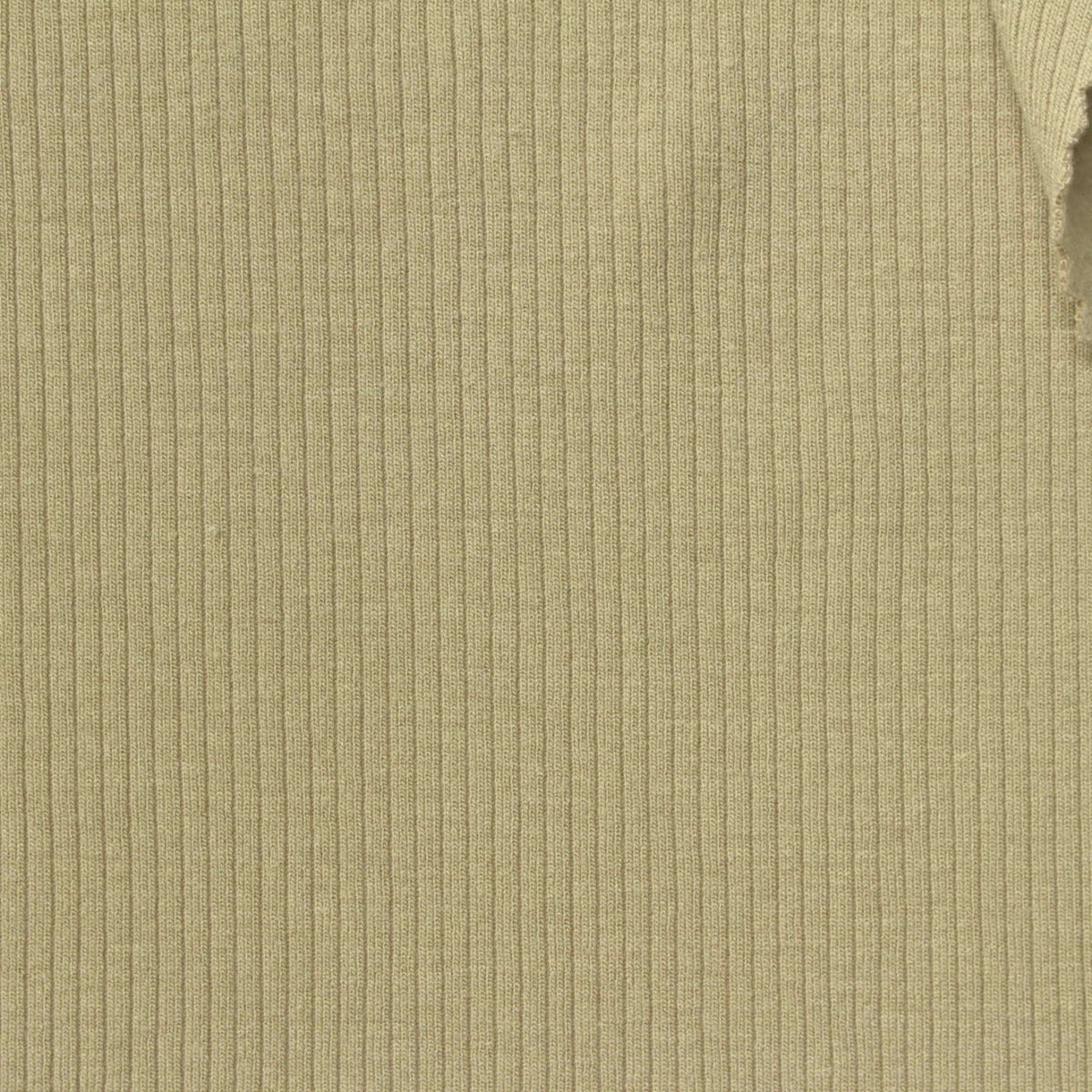 Brushed Viscose Polyester Stretch Rib Knit Fabric, 265 gsm, 160 cm — Khaki