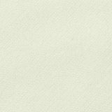 Polyester Stretch Interlock Knit Fabric, 330 gsm, 165 cm — White — texture