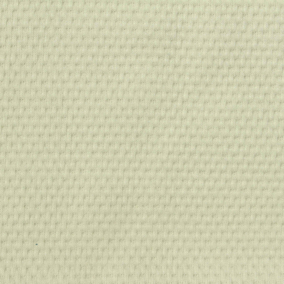 Jacquard 100% Cotton Knit Fabric, 300 gsm, 160 cm — Khaki