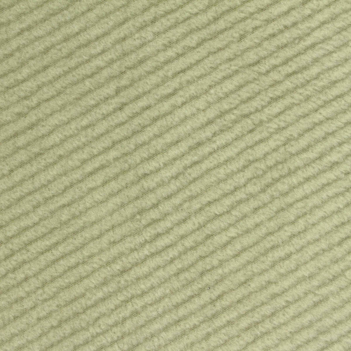 Brushed 100% Polyester Knit Fabric, 285 gsm — Khaki