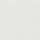 100% Cotton Jersey Knit Fabric, 190 gsm, 200 cm — White — texture