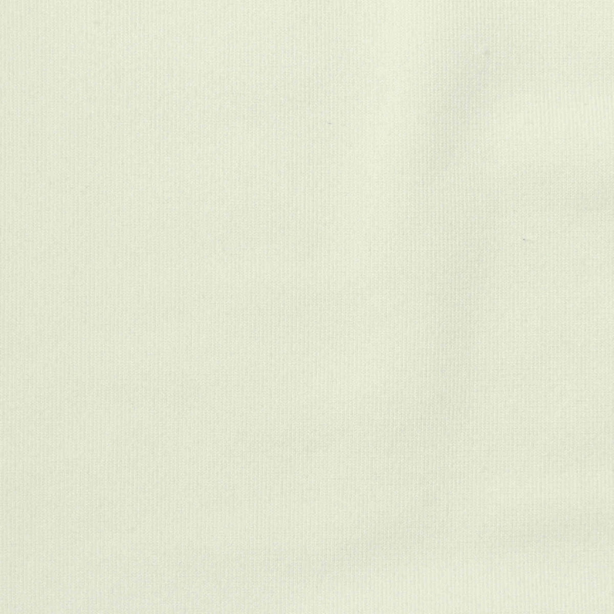 Polyester Stretch Knit Fabric, 250 gsm, 160 cm — White